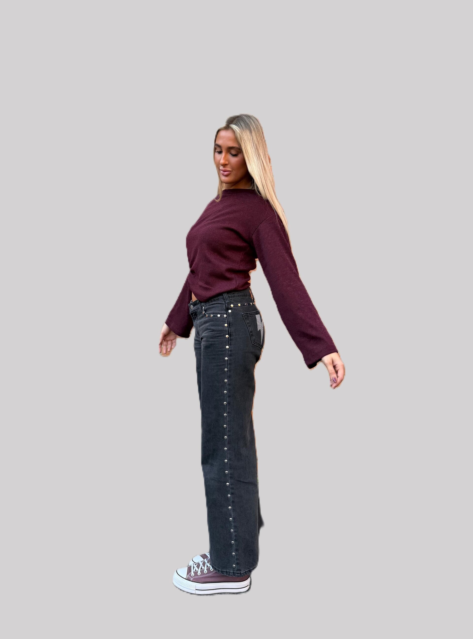 Jeans Zebra Metalic Punk - 1